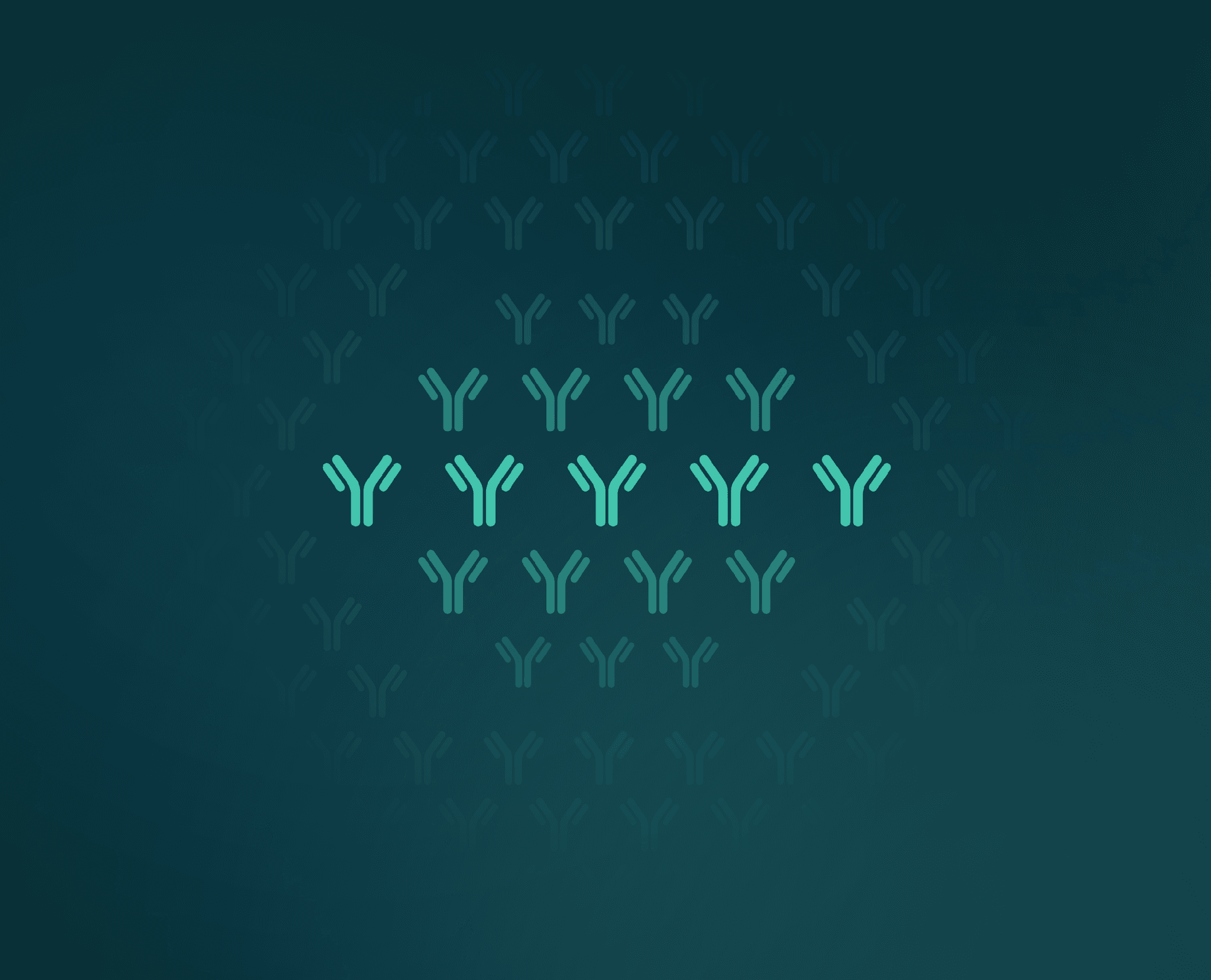 Prellis Biologics, Inc. Generates 300 Human Antibodies That Bind the SARS-CoV2 Virus; Pursues Development of a Treatment and Preventative Therapy for COVID-19 Infection